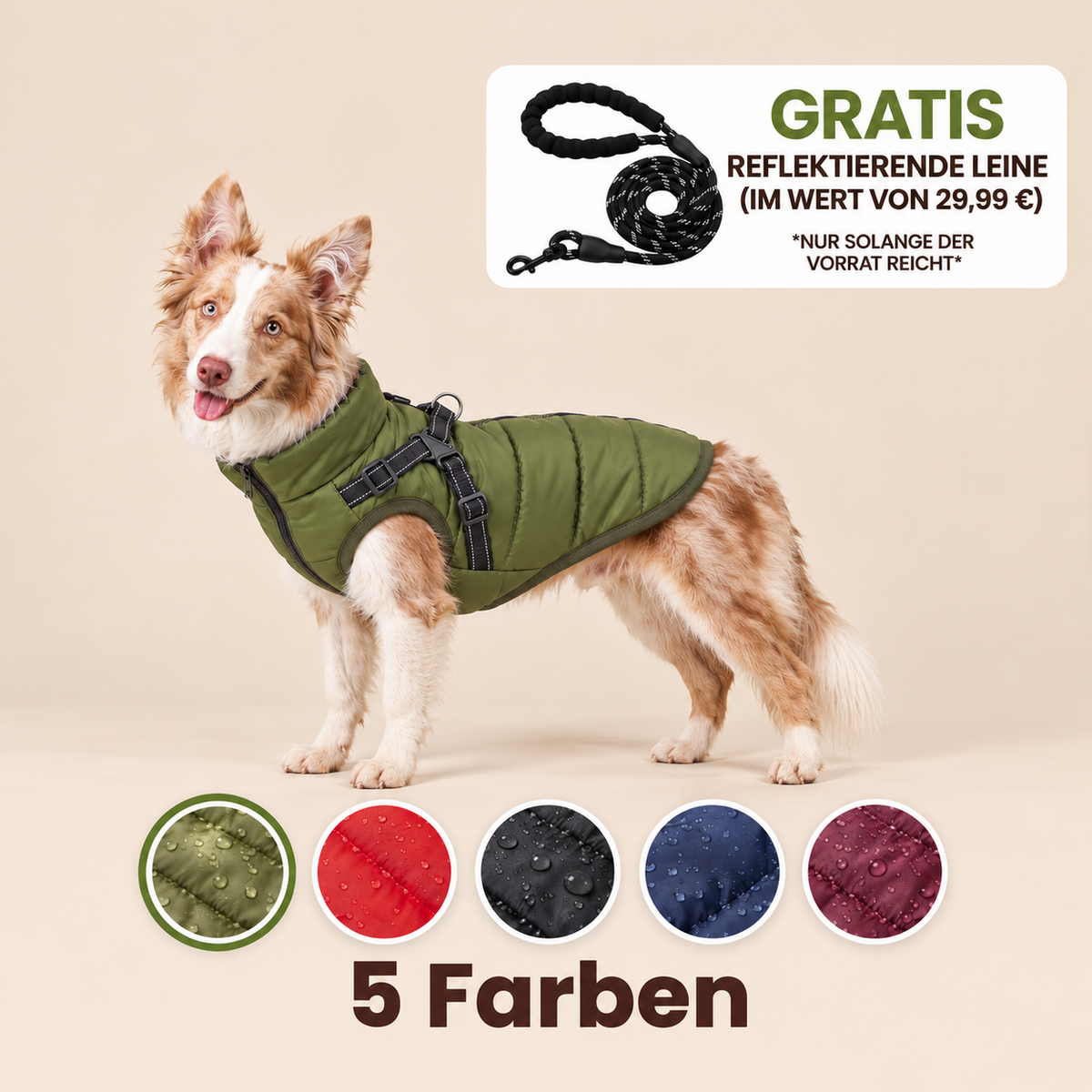 Allwetter - Hundemantel mit integriertem Geschirr