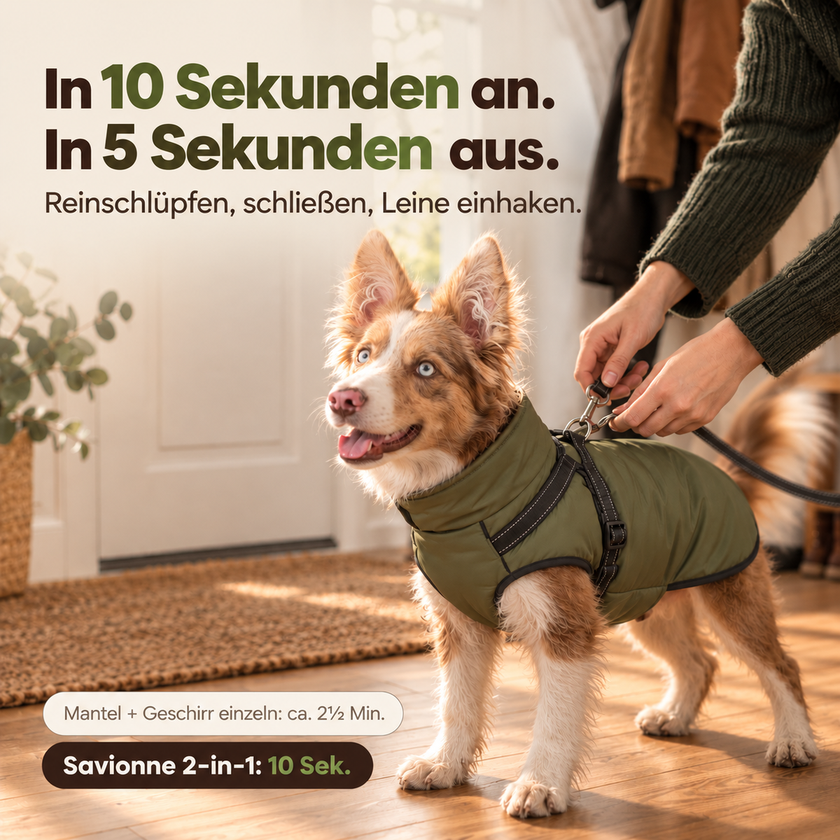 Allwetter - Hundemantel mit integriertem Geschirr