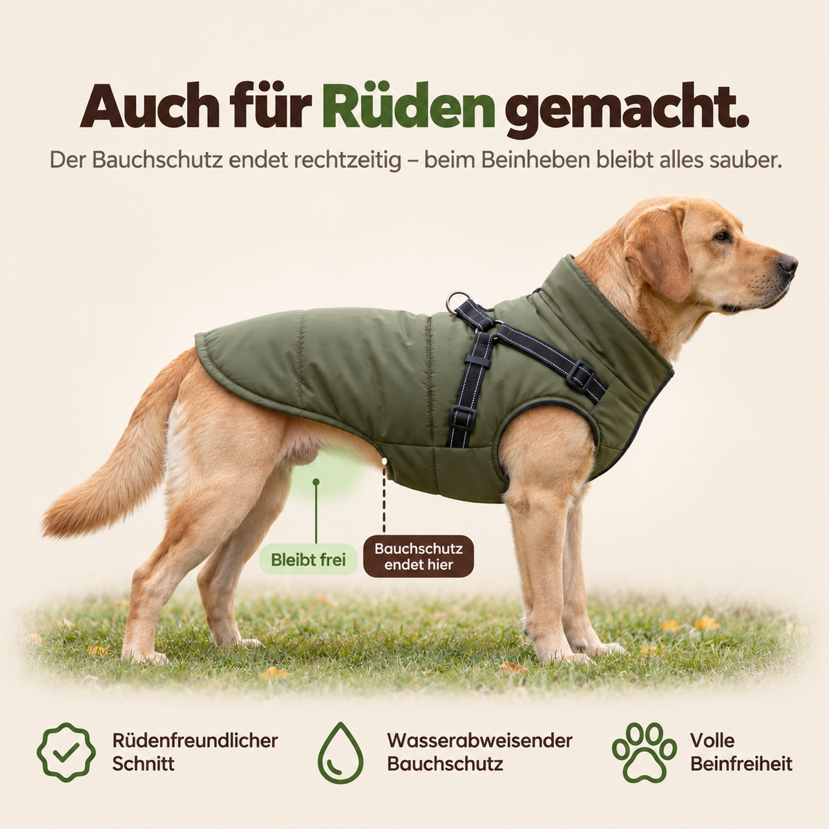Allwetter - Hundemantel mit integriertem Geschirr